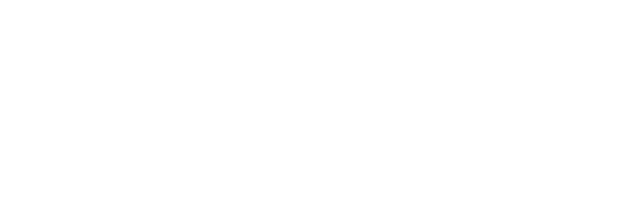 logo white - Bhumi Investama Global